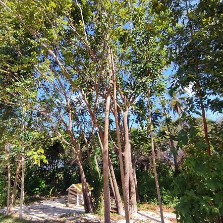 Casa Nova 2 Villa Sao Jose da Coroa Grande Ngoại thất bức ảnh