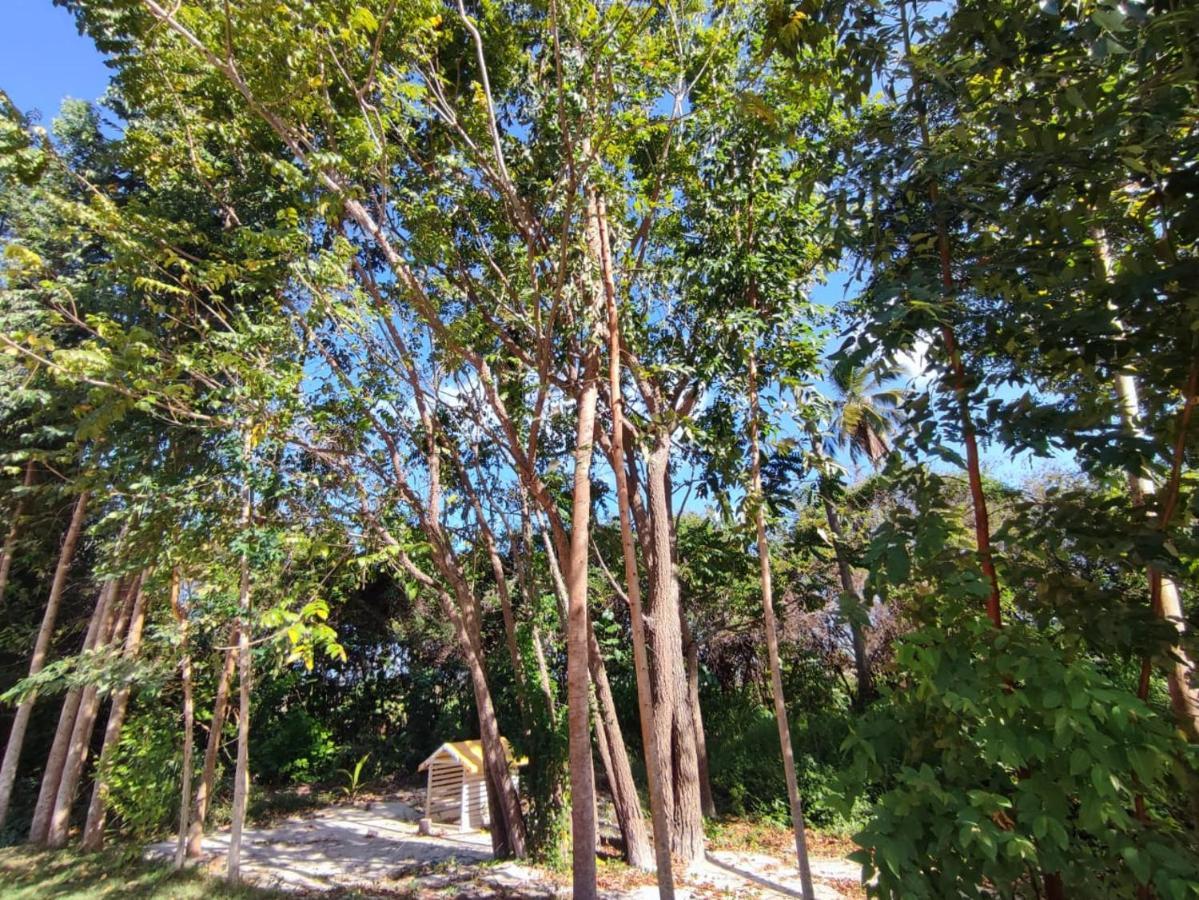 Casa Nova 2 Villa Sao Jose da Coroa Grande Ngoại thất bức ảnh